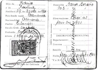 <center>Enrique Hochfärber Despland</center>